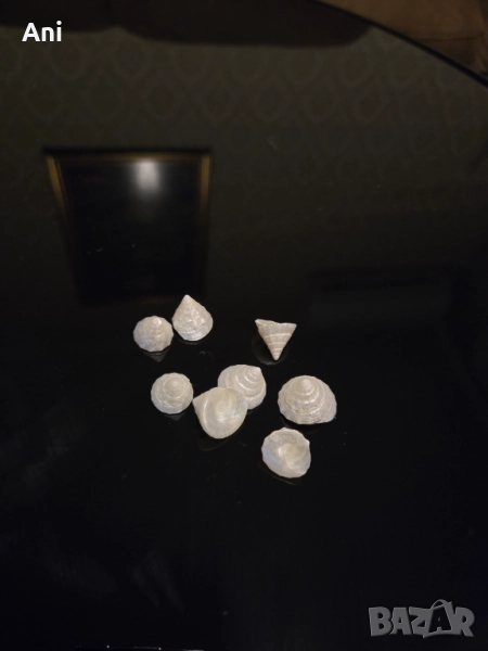 Малки седефени мидички за декор , снимка 1