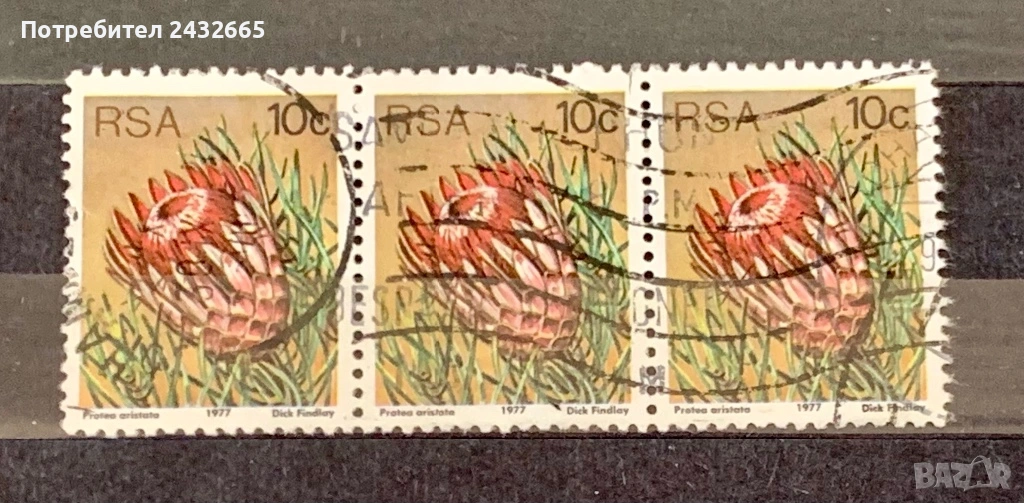 JG114. ЮАР 1977 - “ Флора. Кактуси и сукуленти. ”, снимка 1