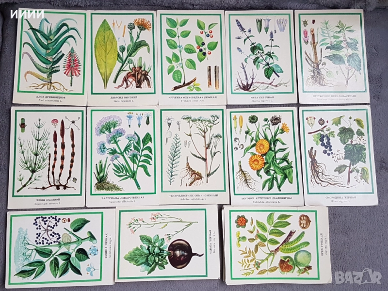 Картичка билка 27 бр, снимка 1