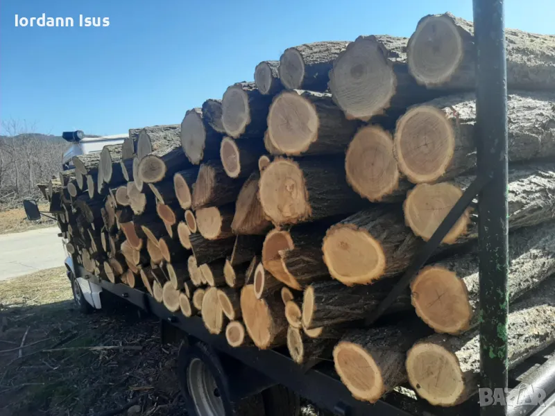 дърва за огрев метровки акация салкъм, снимка 1