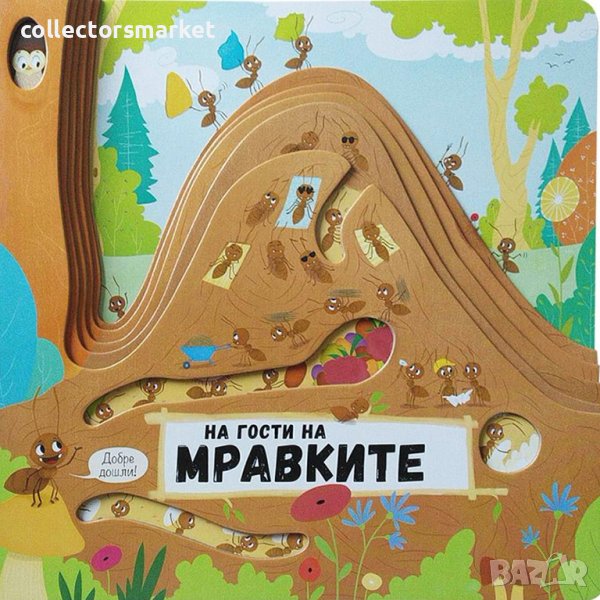 На гости на мравките, снимка 1