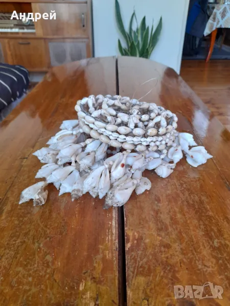 Стар полилей от миди, снимка 1