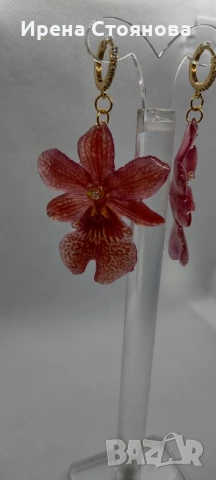 Обеци с естествен цвят на мини орхидея Miltonia. Цветче с размери 5/4,5 см. , снимка 2 - Обеци - 51090714