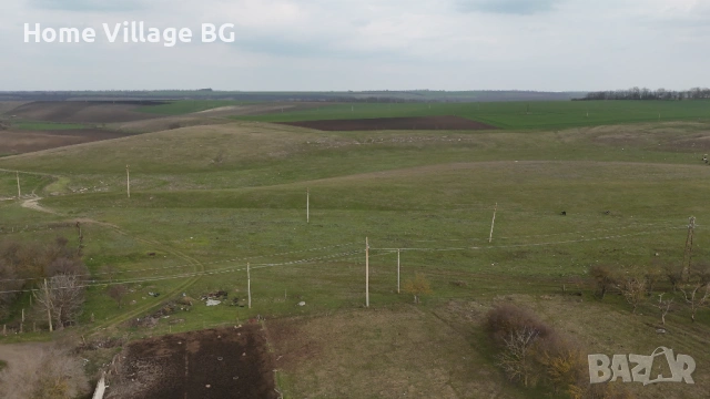 Ъглов парцел село Козлодуйци, област Добрич, снимка 9 - Парцели - 53266957