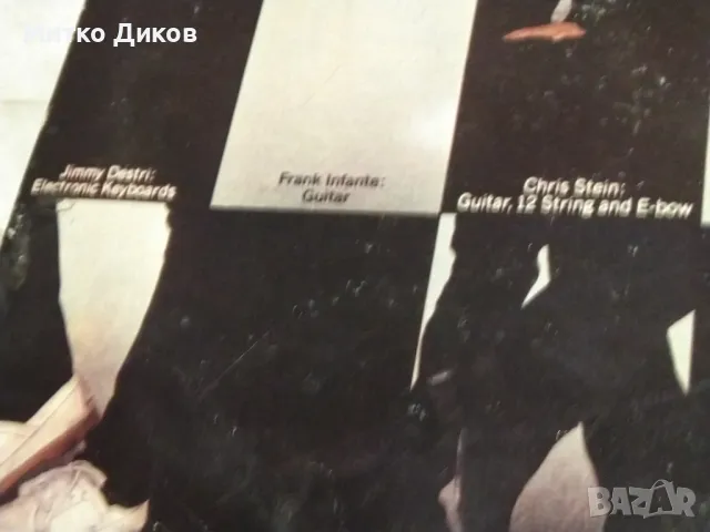  Блонди Blondie Parallel lines голяма плоча, снимка 7 - Грамофонни плочи - 49962068