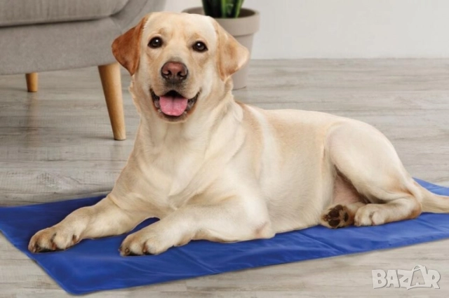 охлаждаща подложка за домашни любимци 