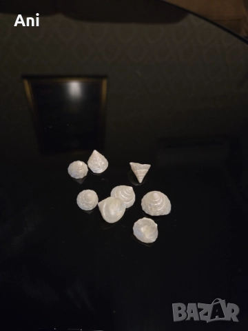 Малки седефени мидички за декор 