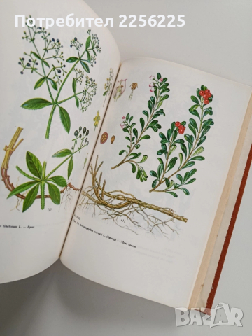Съвременна фитотерапия, снимка 9 - Специализирана литература - 53270296