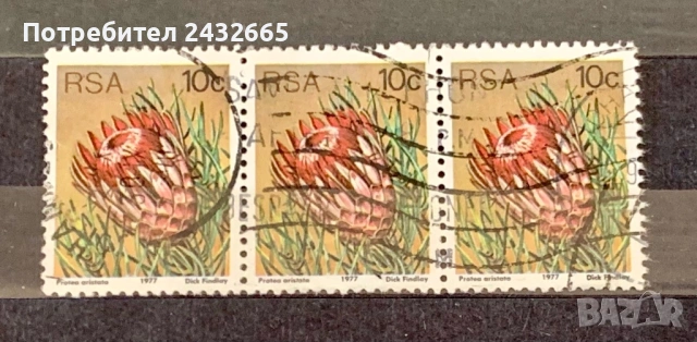 JG114. ЮАР 1977 - “ Флора. Кактуси и сукуленти. ”