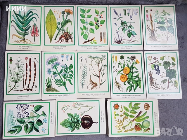 Картичка билка 27 бр