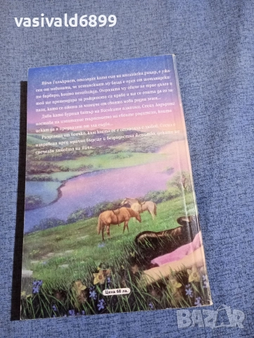 Сюзън Танер - Сърце в изгнание , снимка 3 - Художествена литература - 52938903