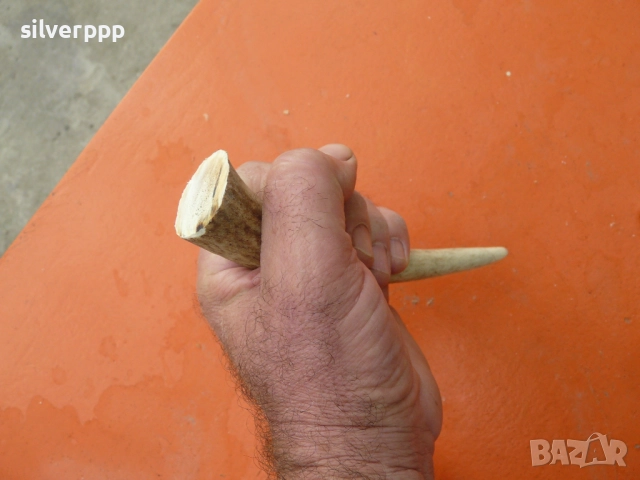 Парче еленов рог за дръжка на нож - 5 , снимка 2 - Други ценни предмети - 51687655