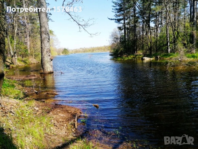 Продавам горска територия-иглолистна гора, снимка 3 - Земеделска земя - 53449944