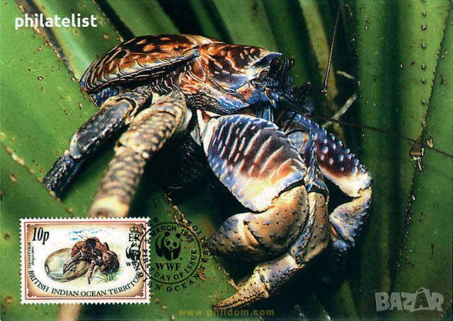 Британски територии в Индийския океан - 4 бр Карти Максимум