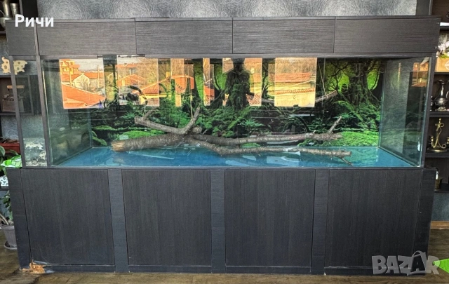 Огромен аквариум 1170 литра със шкаф-250см.
