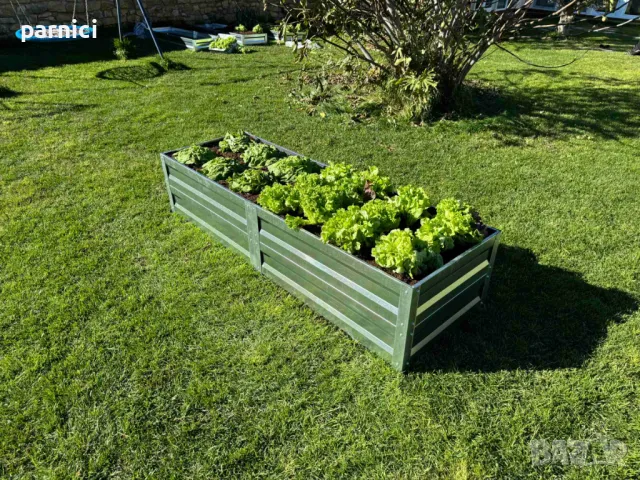 ПРОМОЦИЯ! Градинска леха Primaterra сив/кафяв/зелен цвят, снимка 3 - Градинска техника - 47115586