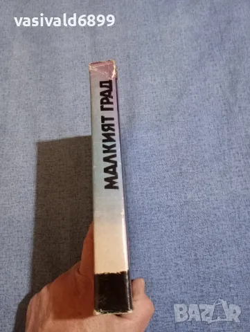 Хайнрих Ман - Малкият град , снимка 2 - Художествена литература - 50328006