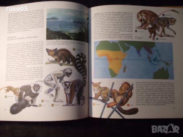 Книга "Die Tierwelt der Erde - U. Sedlag" - 200 стр., снимка 8 - Специализирана литература - 35779002