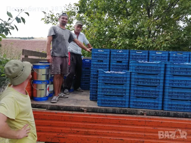 Продавам сини сливи , снимка 3 - Домашни продукти - 55986189