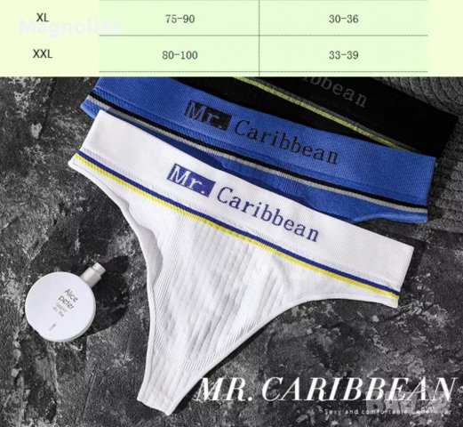 Мъжко Еротично Бельо, снимка 11 - Бельо - 31898989