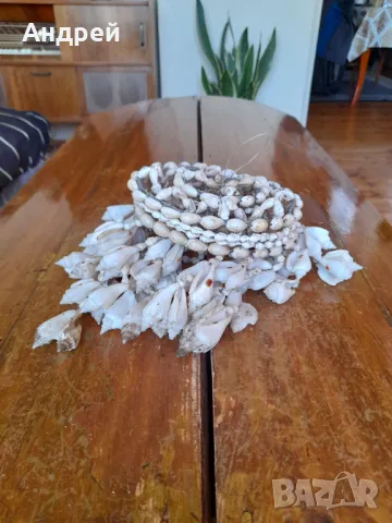 Стар полилей от миди