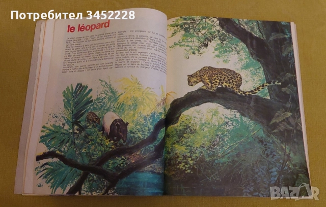 комикс за колекционери , снимка 7 - Списания и комикси - 52425709