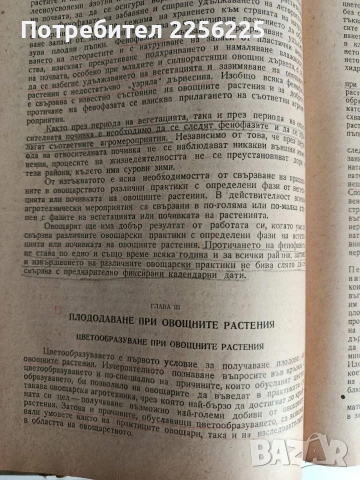 Овощарство 1954г , снимка 8 - Специализирана литература - 53075504