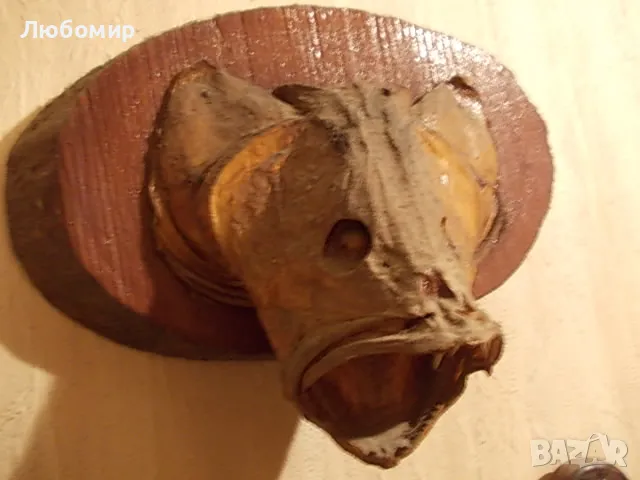 Стар риболовен трофей, снимка 2 - Антикварни и старинни предмети - 49878442