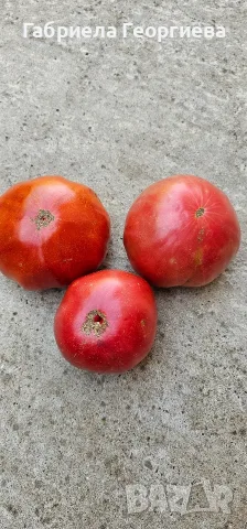 Домат (Розов и червен)