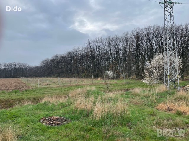 парцел село маджерито, снимка 7 - Парцели - 41163879