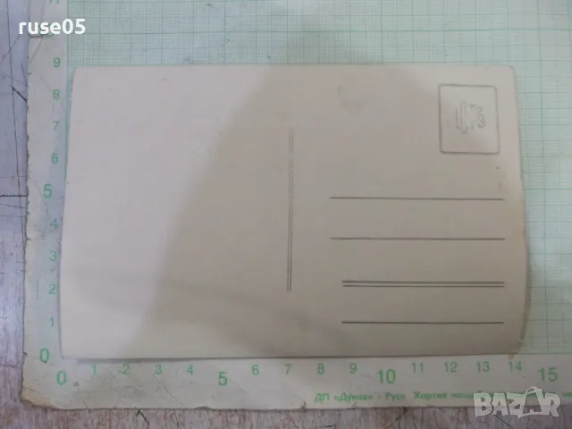 Снимка стара на дама - 4, снимка 2 - Колекции - 48003682