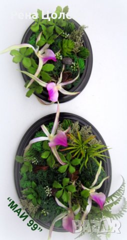 Комплект пана със скандинавски мъх и цвят орхидея, снимка 4 - Пана - 35982530