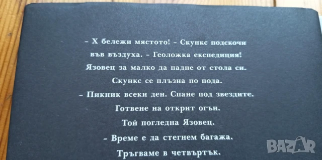 Скункс и Язовец" и "Яйцето бележи мястото - Ейми Тимбърлейк, снимка 3 - Детски книжки - 51094860
