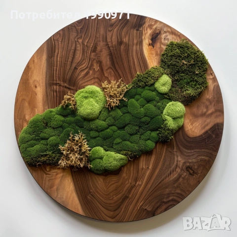 Стенен декор - пано. Ествествена дървесина с исландски мъх. Изработка по поръчка., снимка 3 - Декорация за дома - 53726848