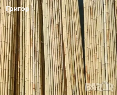 Бамбукови колчета на ТОП ЦЕНА!