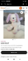 Интерактивно плюшено куче Barbie Fashion Puppy Mattel Барби, снимка 4