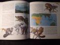 Книга "Die Tierwelt der Erde - U. Sedlag" - 200 стр., снимка 8