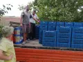 Продавам сини сливи , снимка 3