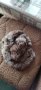 Каскет от естествен косъм(заек), снимка 1 - Шапки - 39430538