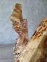 Уникална декоративна пластика / скулптура от туморна топола (кап) – ръчна изработка, снимка 6