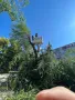 Премахване и кастрене на опасни дървета, снимка 3