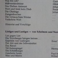Читанка с текстове на  немски език - Horizonte: Lesebuch für die Sekundarstufe I, снимка 8 - Чуждоезиково обучение, речници - 35887828