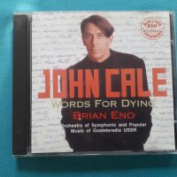 John Cale(The Velvet Underground) –4CD, снимка 1 - CD дискове - 40649635