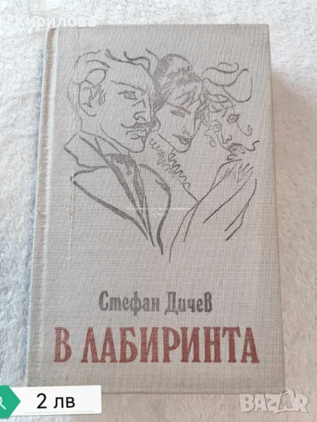 В лабиринта. Стефан Дичев , снимка 1