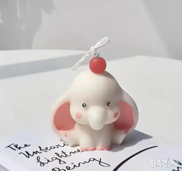 Молд слонче, снимка 1