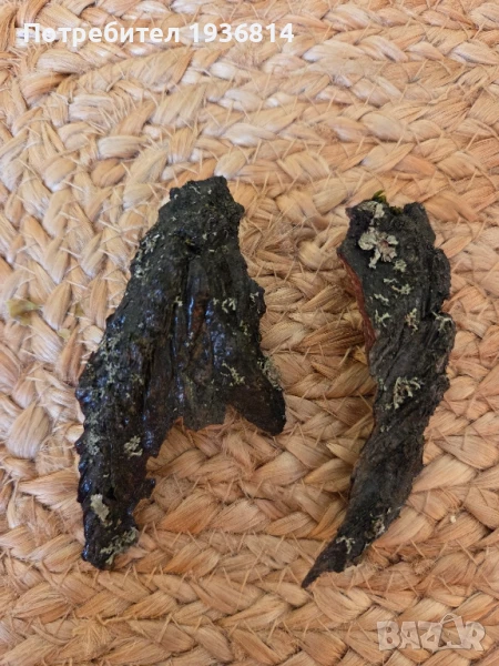 Авторски обици , снимка 1