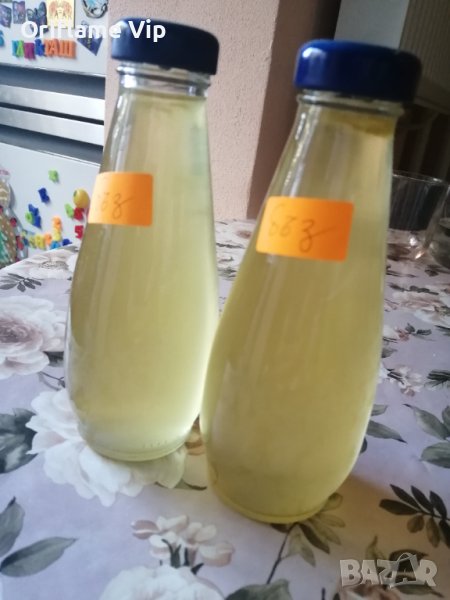 Сироп от бял бъз, снимка 1