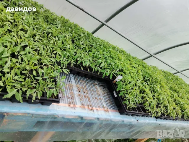 Последно поколение WiFi - Смарт термостат за подово отопление., снимка 15 - Електро услуги - 34261928