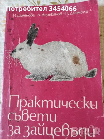 Практични съвети за зайцевъди. , снимка 1 - Специализирана литература - 47376656