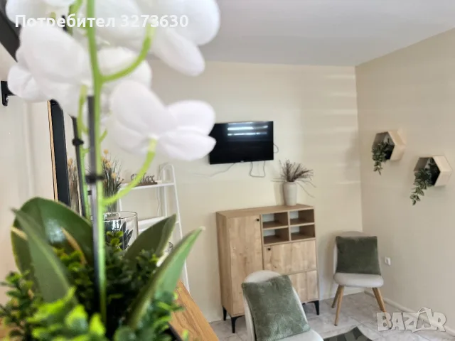 Отдавам офиси под наем , снимка 4 - Офиси - 56226226